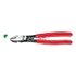 Immagine di B1818/1-250