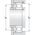 Immagine di N 203 ECP