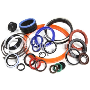 Immagine di I/GT25250-085-55/A