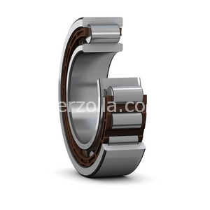 Immagine di NU 236 ECM