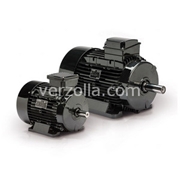 AM63ZCA2-0.37KW-230400-50B3-IP55 IE1